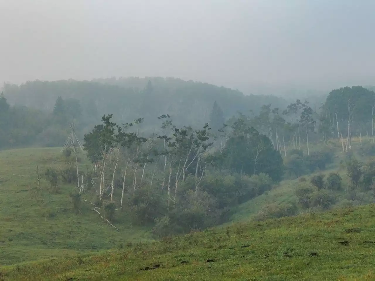 Mike Drew: Morning mist gives way to hazy shade of summer