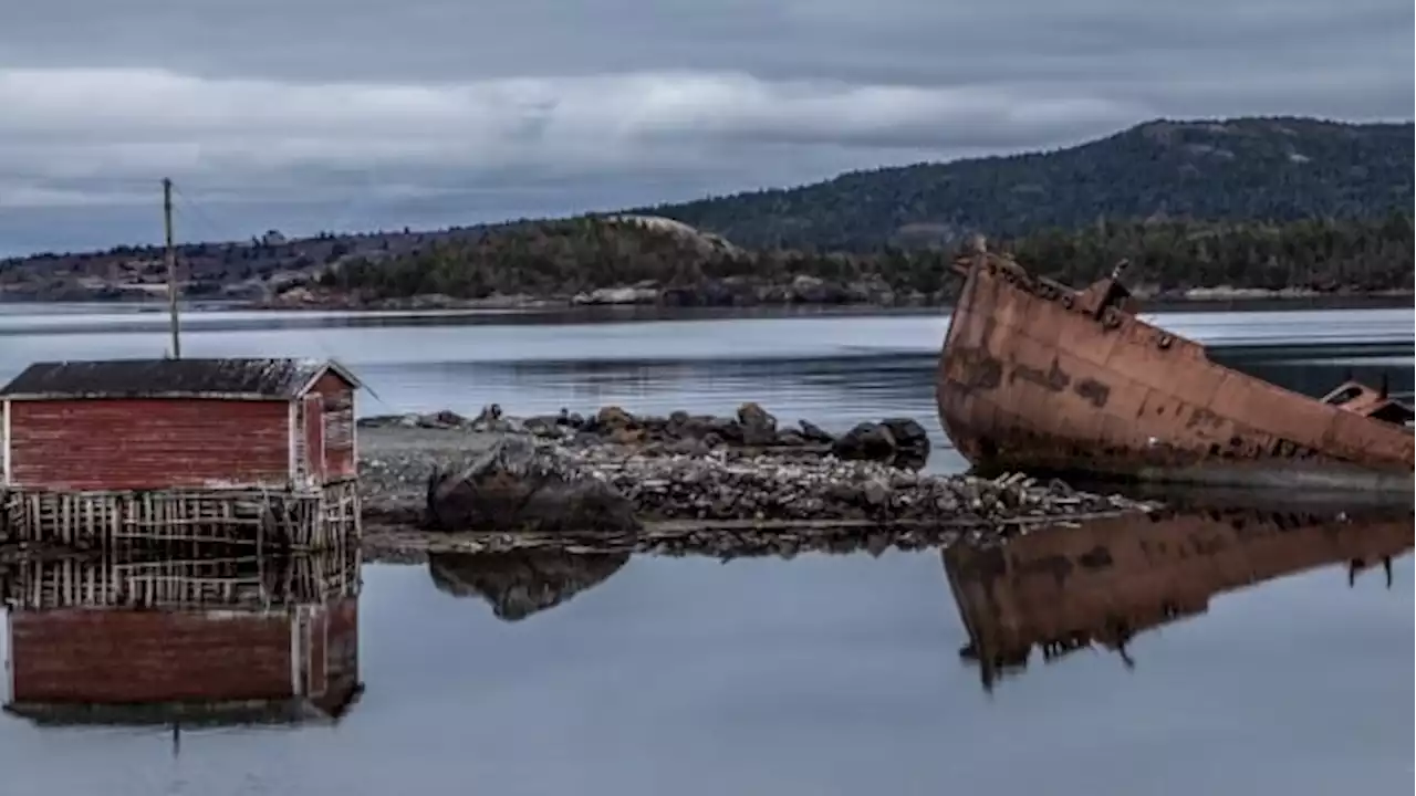 Conception Harbour, owed hundreds of thousands in unpaid taxes, can't pick up the trash