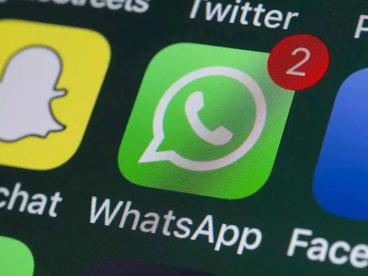 Licenziato per aver lasciato il gruppo WhatsApp di lavoro: «L’azienda chiedeva foto private»