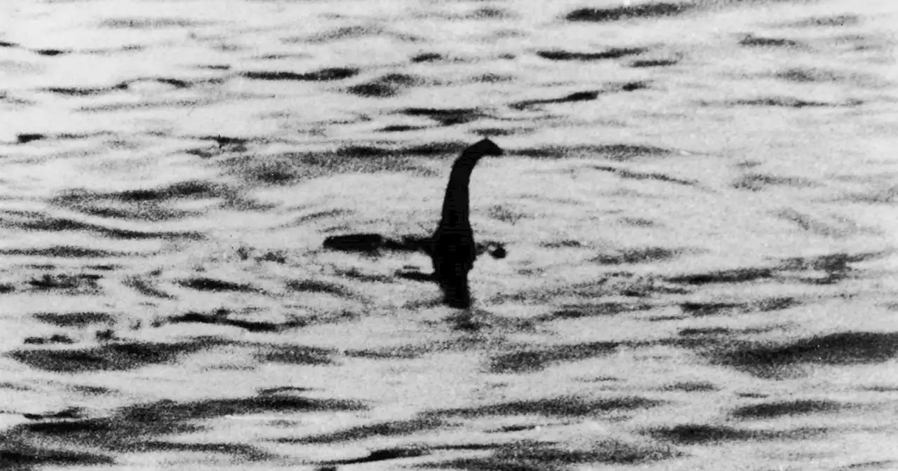 Loch Ness Monster 'species' gained long neck over 5 million years, research says