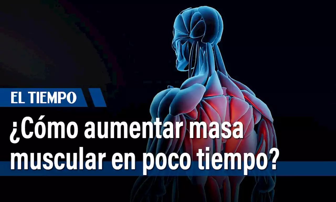 ¿Cómo aumentar masa muscular cuando tienes poco tiempo para entrenar?