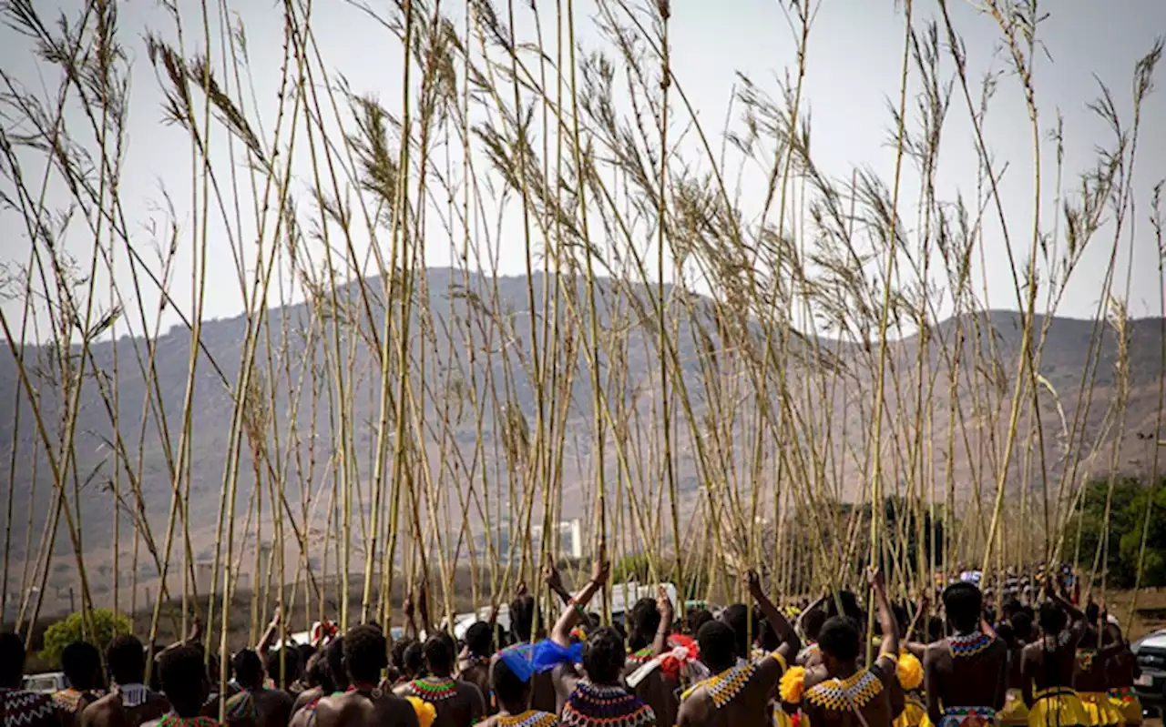 Maidens return home as Sunday's leg of reed dance called off to mourn Buthelezi