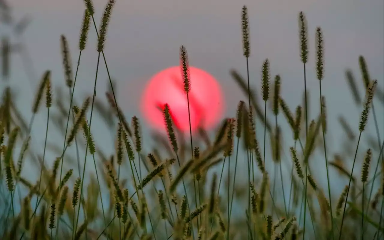 Aussichten: Ende des heißen Sommerwetters naht