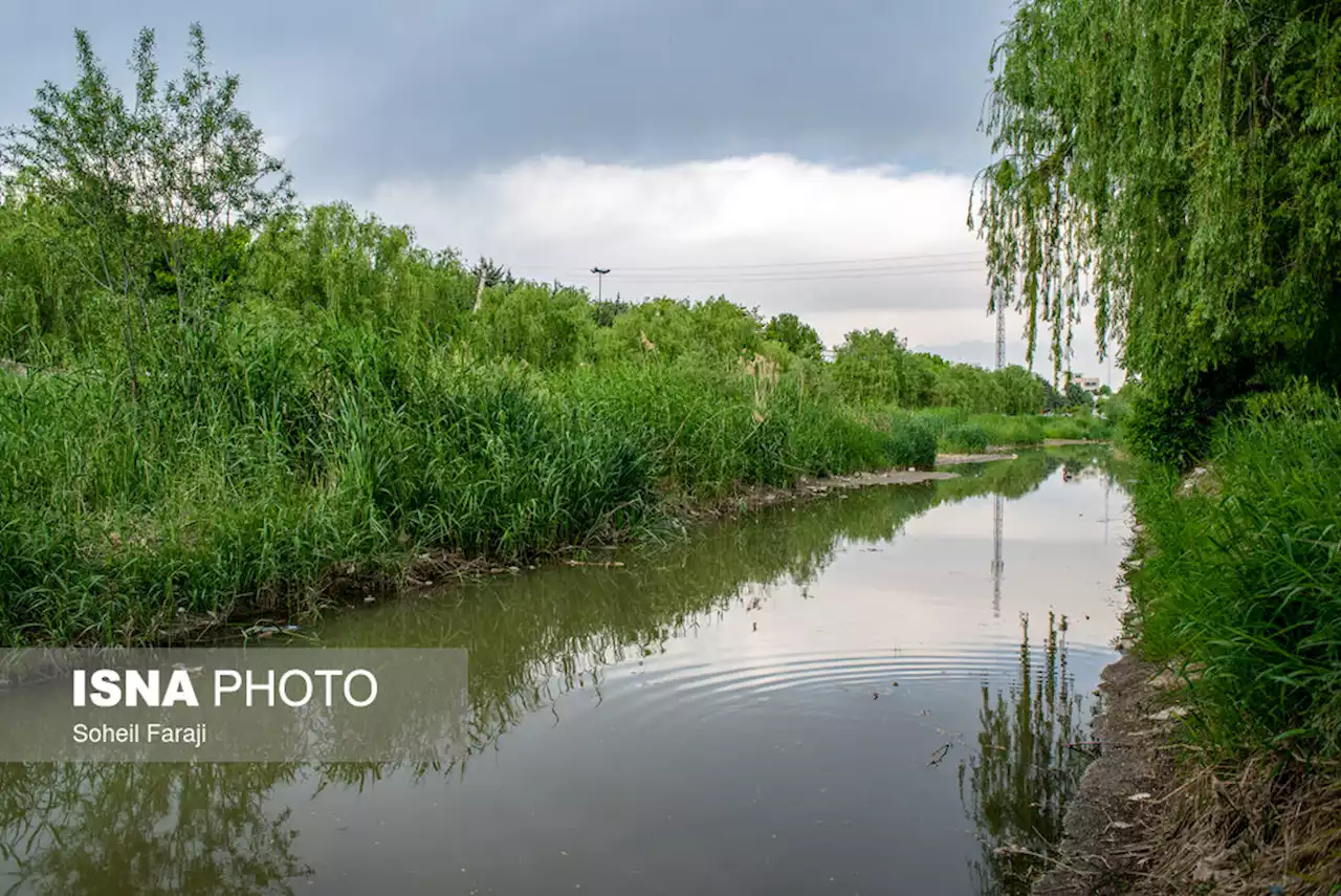 اخذ سند مالکیت ۶۸۱ هکتار از رودخانه‌های همدان