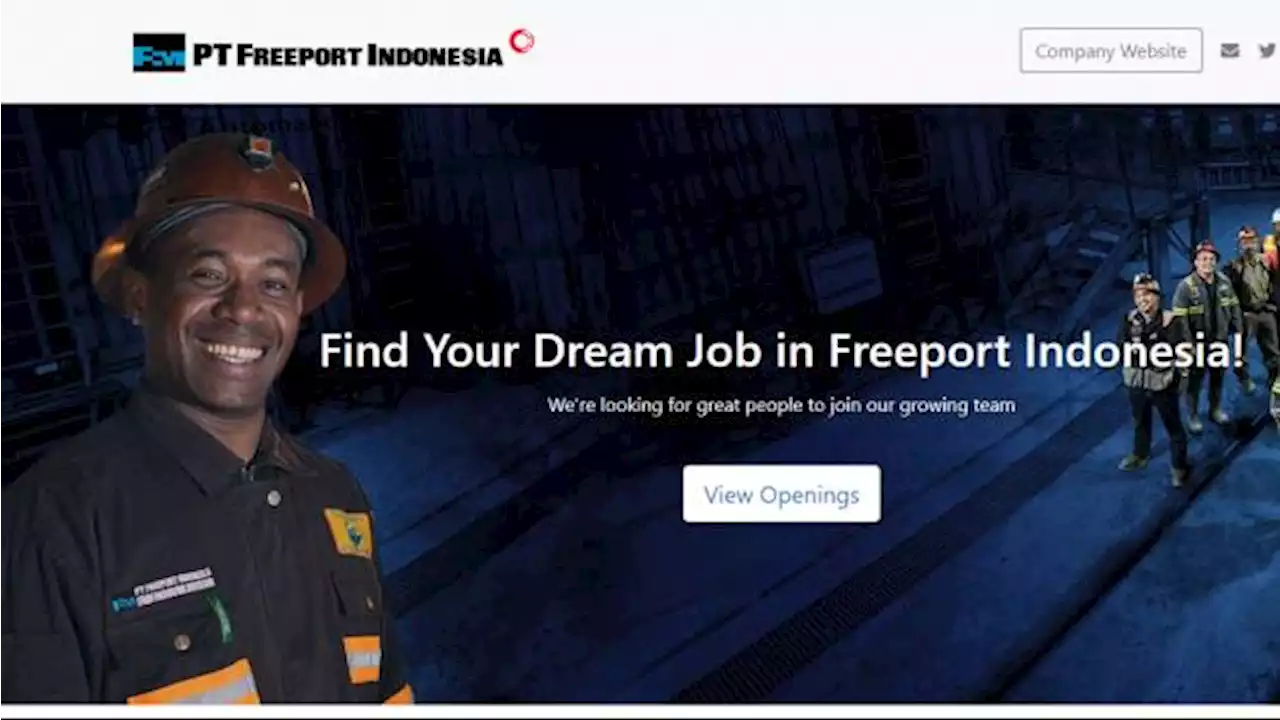 6 Lowongan Kerja PT Freeport Indonesia untuk Lulusan S1, Cek Persyaratannya