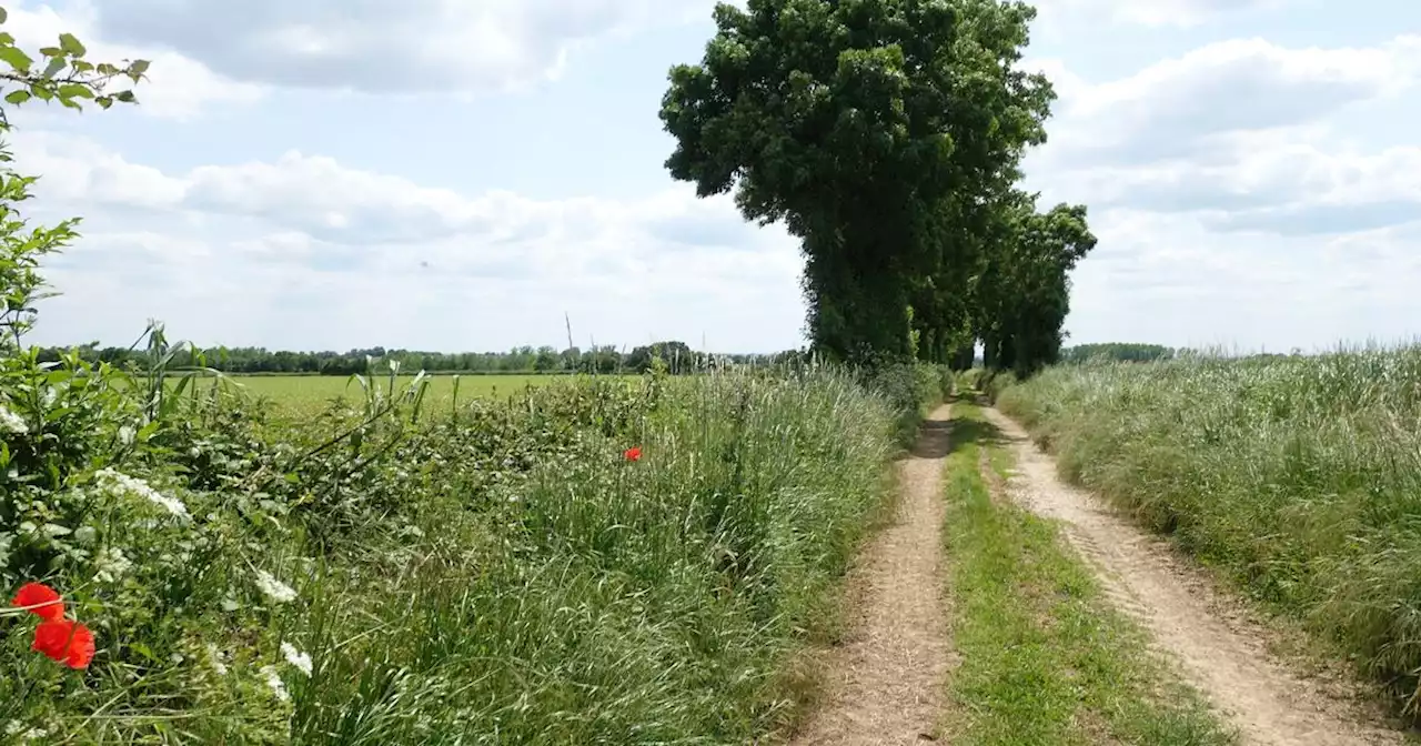 Chemins de Compostelle : de Poitiers à Saintes, la voie tranquille