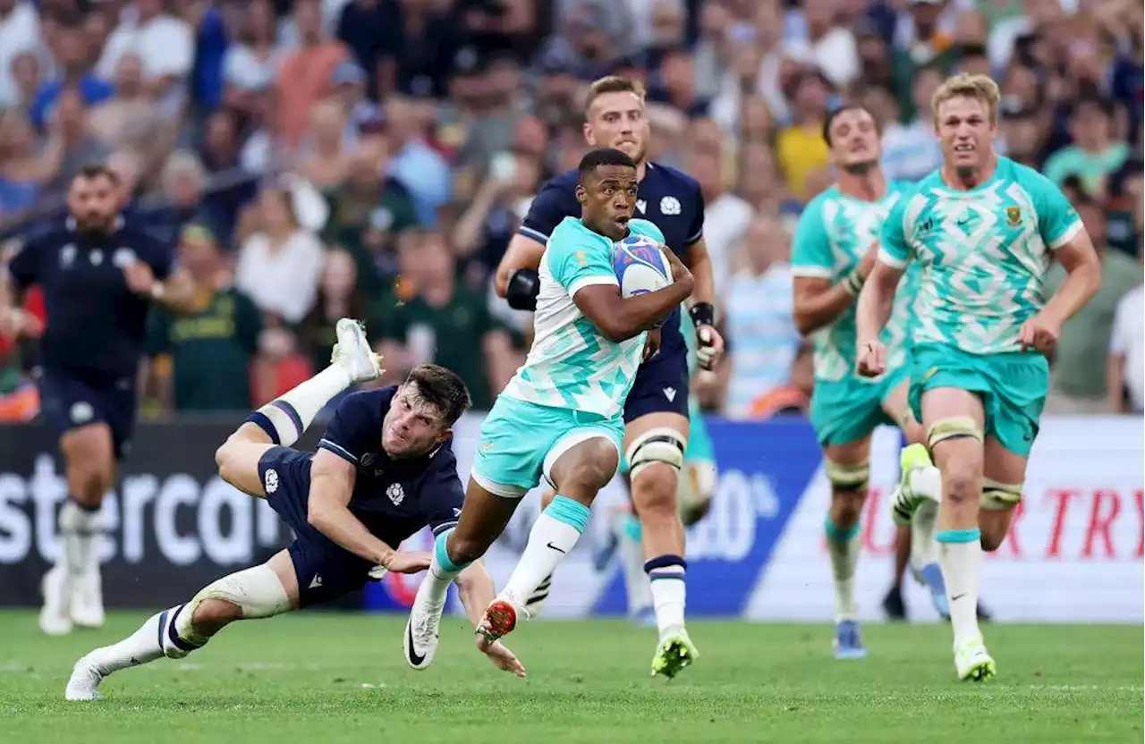 Springboks start Rugby World Cup defence with Scotland victory