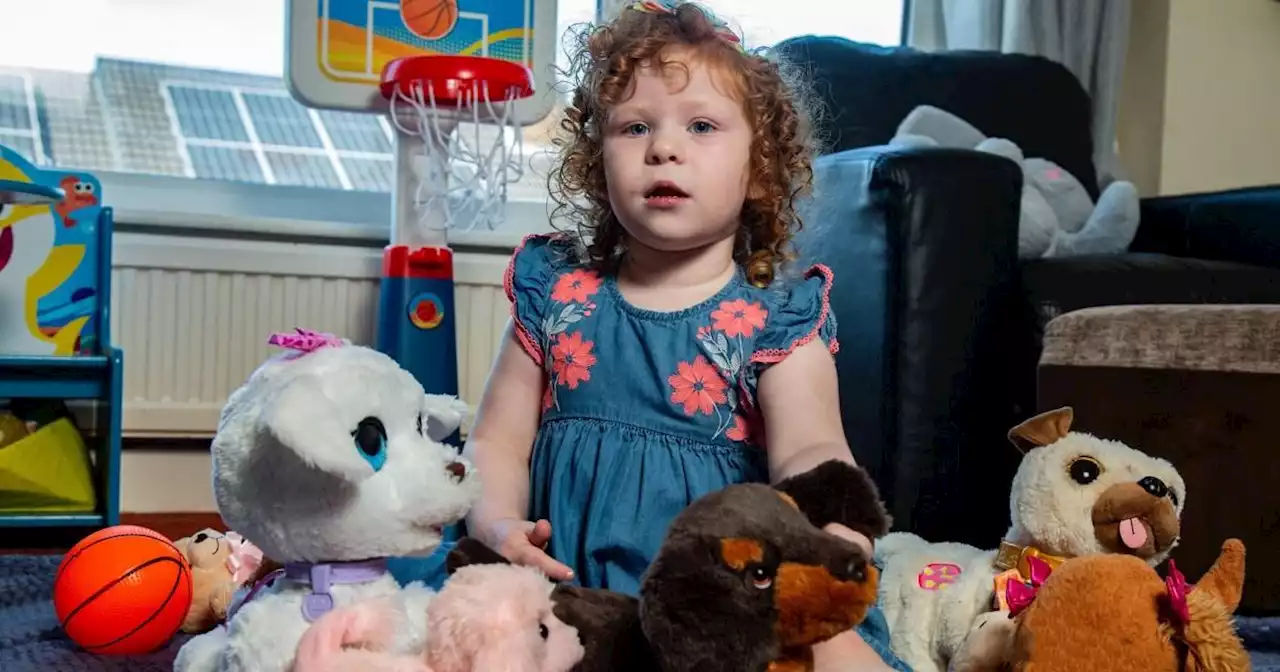 Young girl has ‘nightmares’ after dog attack leaves her ‘scarred for life'