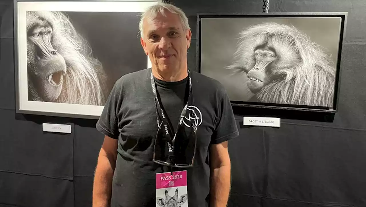 Mende Festival photo : le photographe animalier Patrice Quillard remporte le prix du public