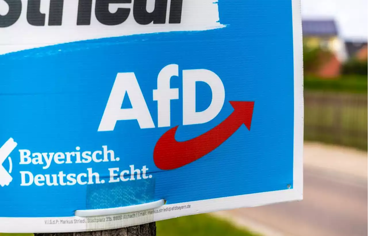 AfD warb in Passau mit strafbarer Nazi-Parole – Kripo ermittelt wegen Plakaten