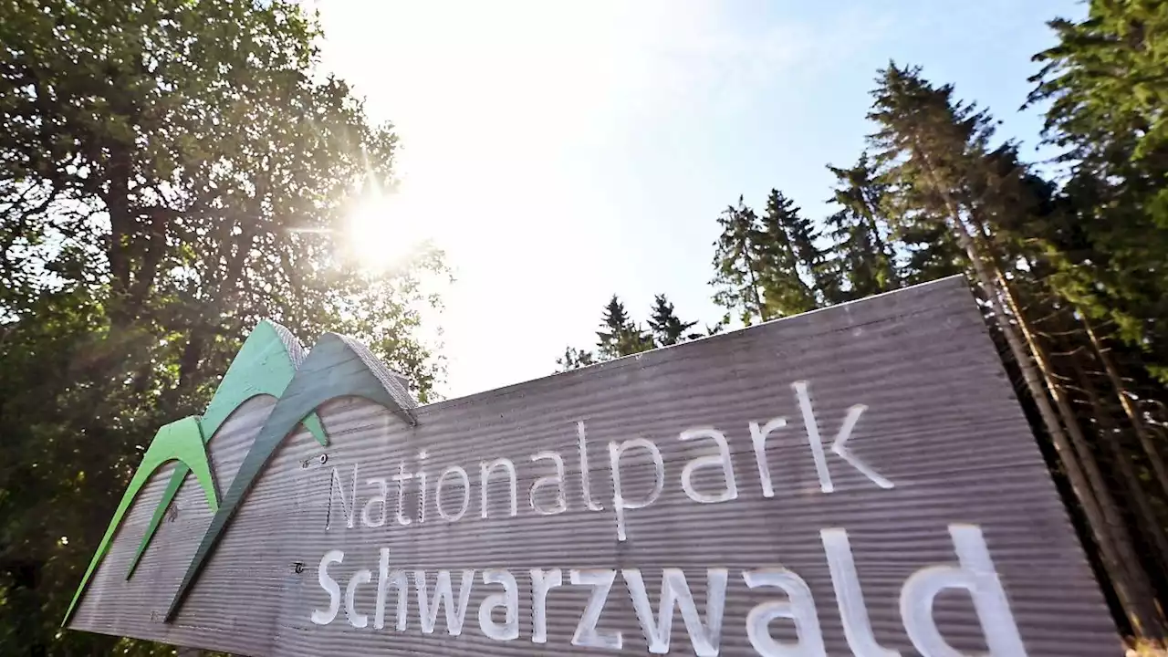 Koalitionsknatsch um Erweiterung des Nationalparks