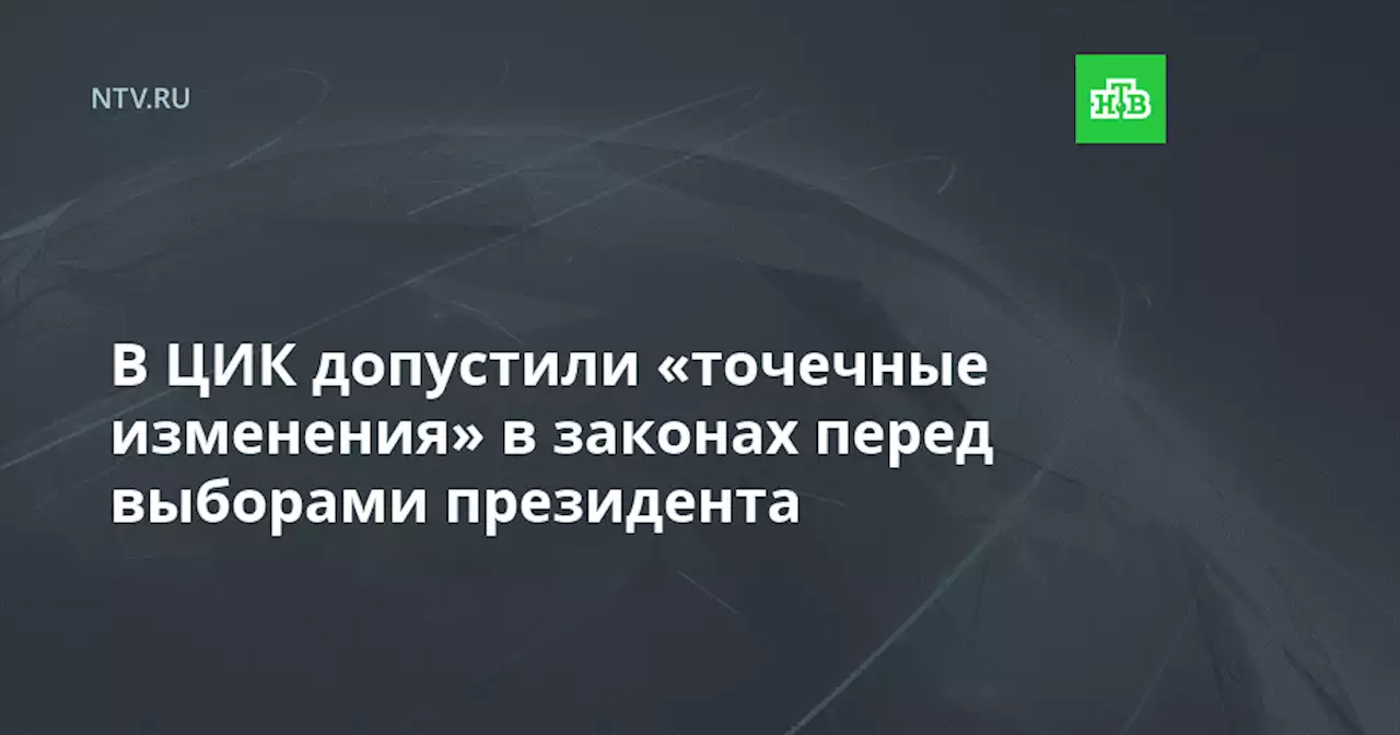 В ЦИК допустили «точечные изменения» в законах перед выборами президента