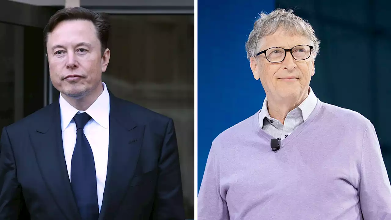 'Arschloch': Elon Musk wettert heftig gegen Bill Gates!