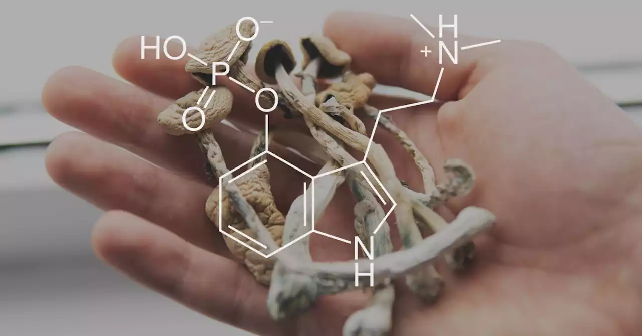 How Magic Mushrooms Can Fix Depression