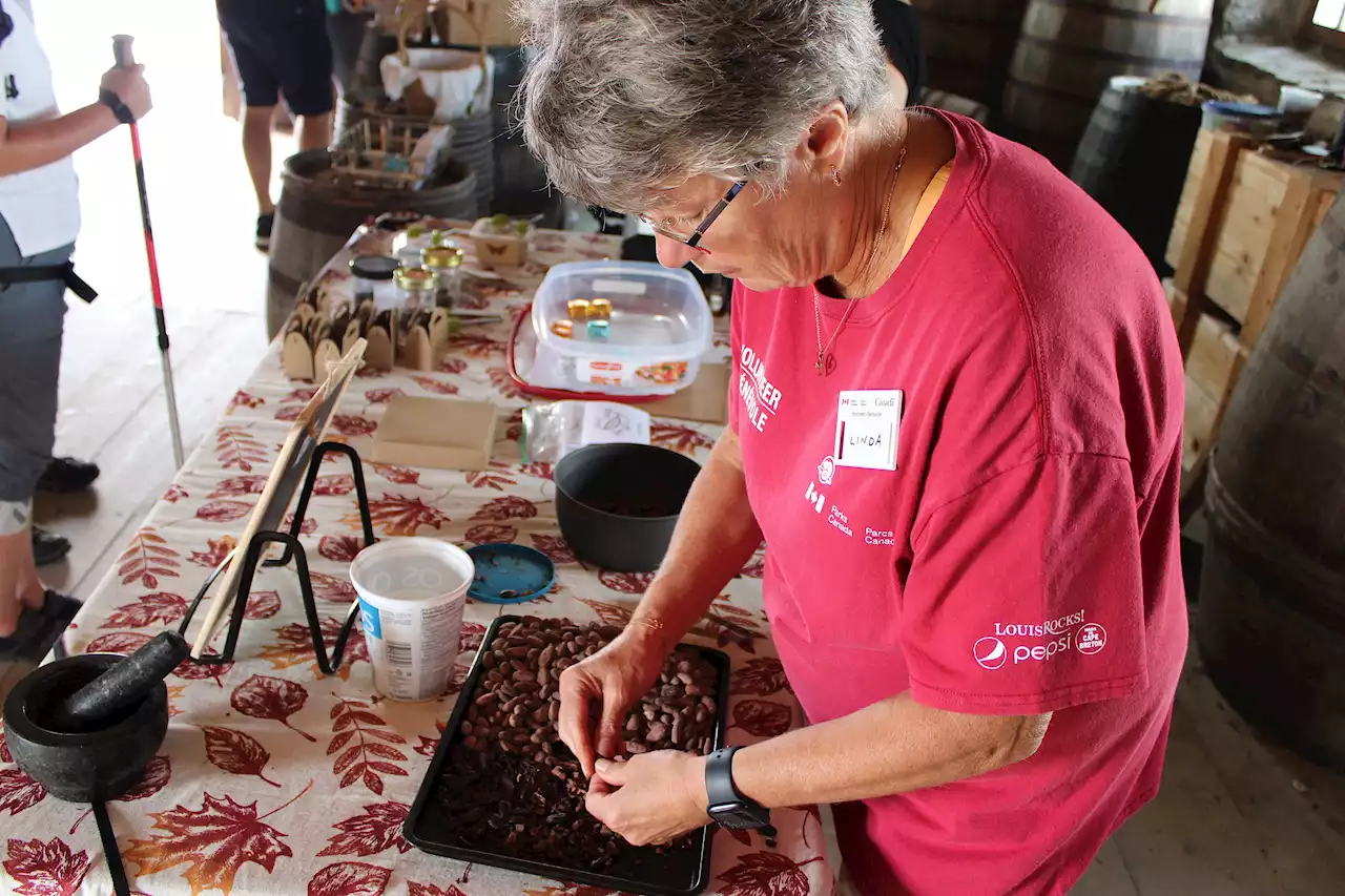 Louisbourg chocolate fest reveals lesser-known local importance of cocoa