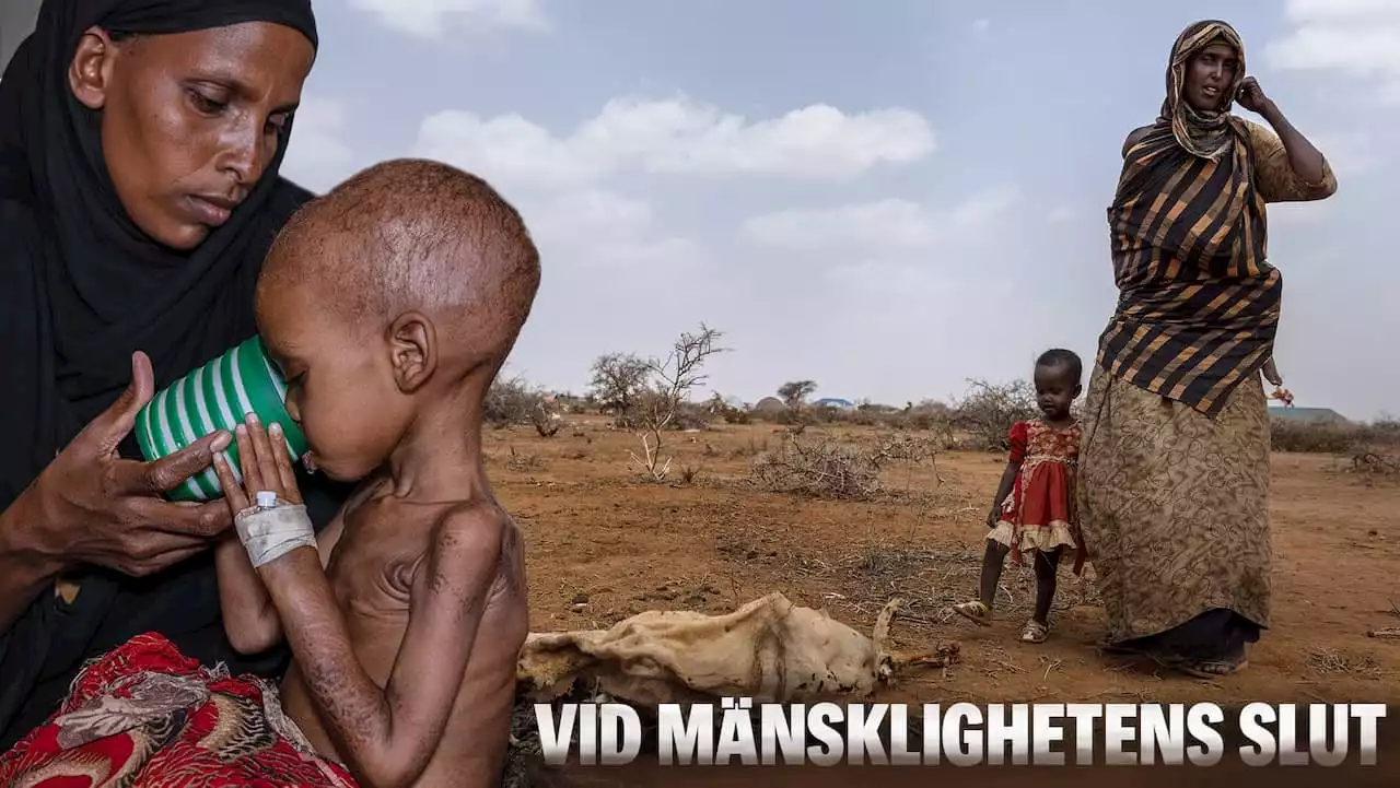 Magda Gad i klimatkrisens Somalia: Här tvingas mammorna begrava barnen i sanden