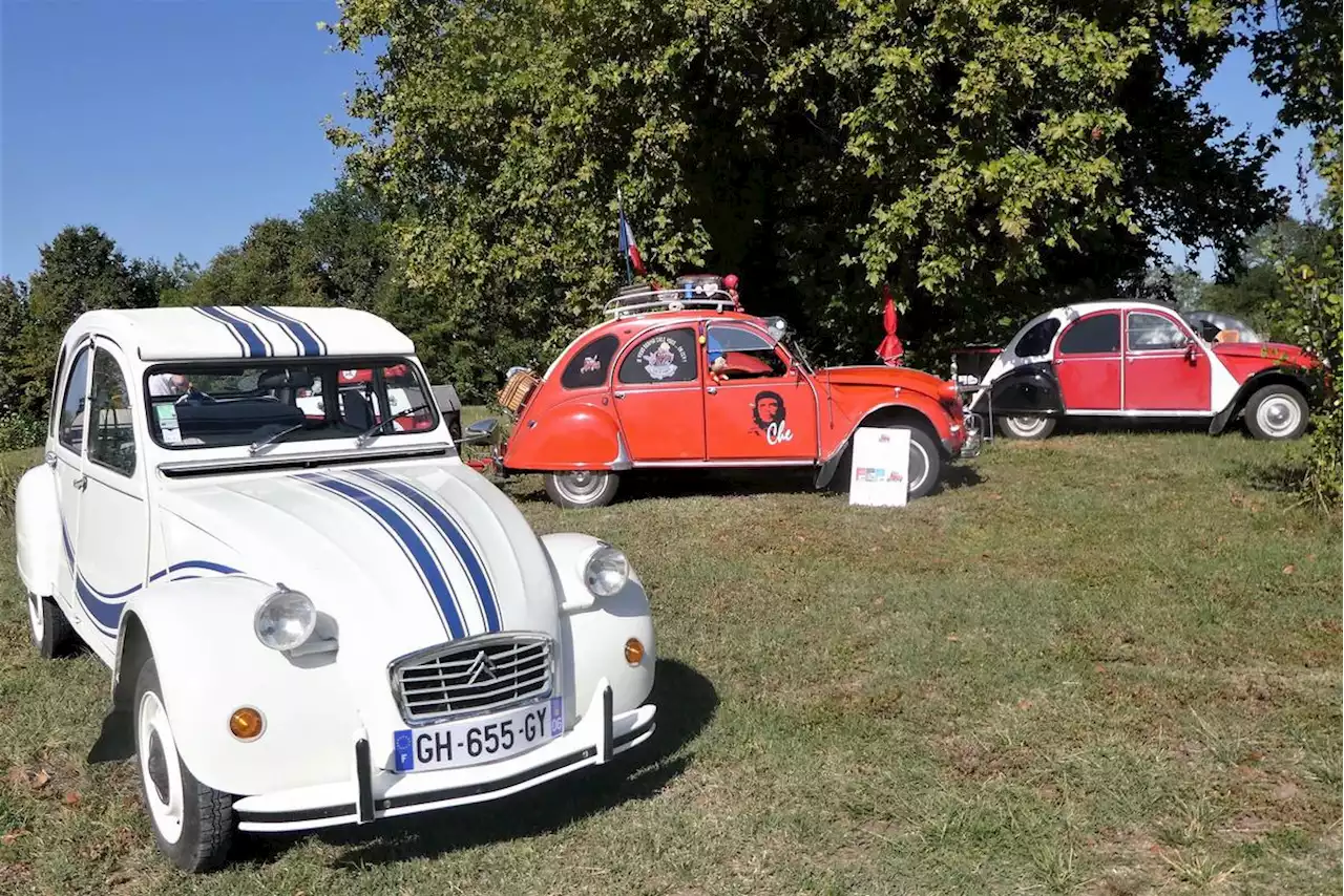 Gironde : une trentaine de 2CV ont paradé ce week-end à Étauliers