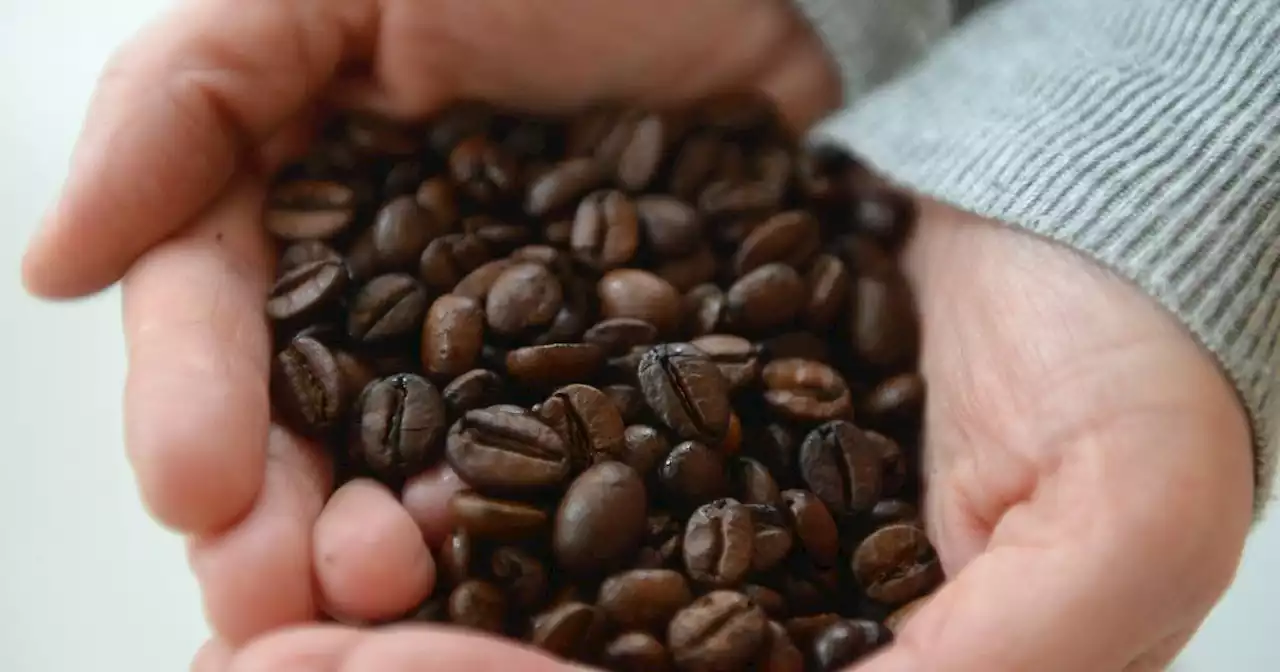 Stiftung Warentest: Kaffee-Überraschung – drei günstige Discounter-Marken stehen an der Spitze