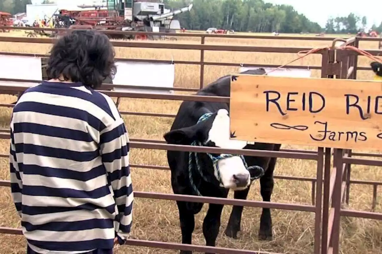 Residents learn about farming at Rural Heritage Days