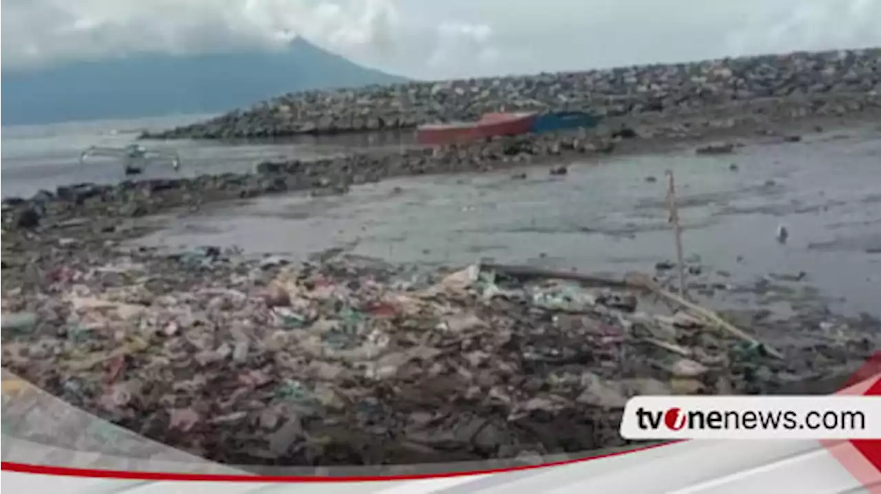 Ribuan Ikan Mati Terdampar di Pantai Ternate