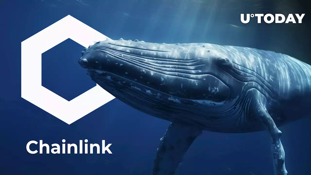 Millions of LINK Acquired by Whales Since Chainlink Successful Swift Test