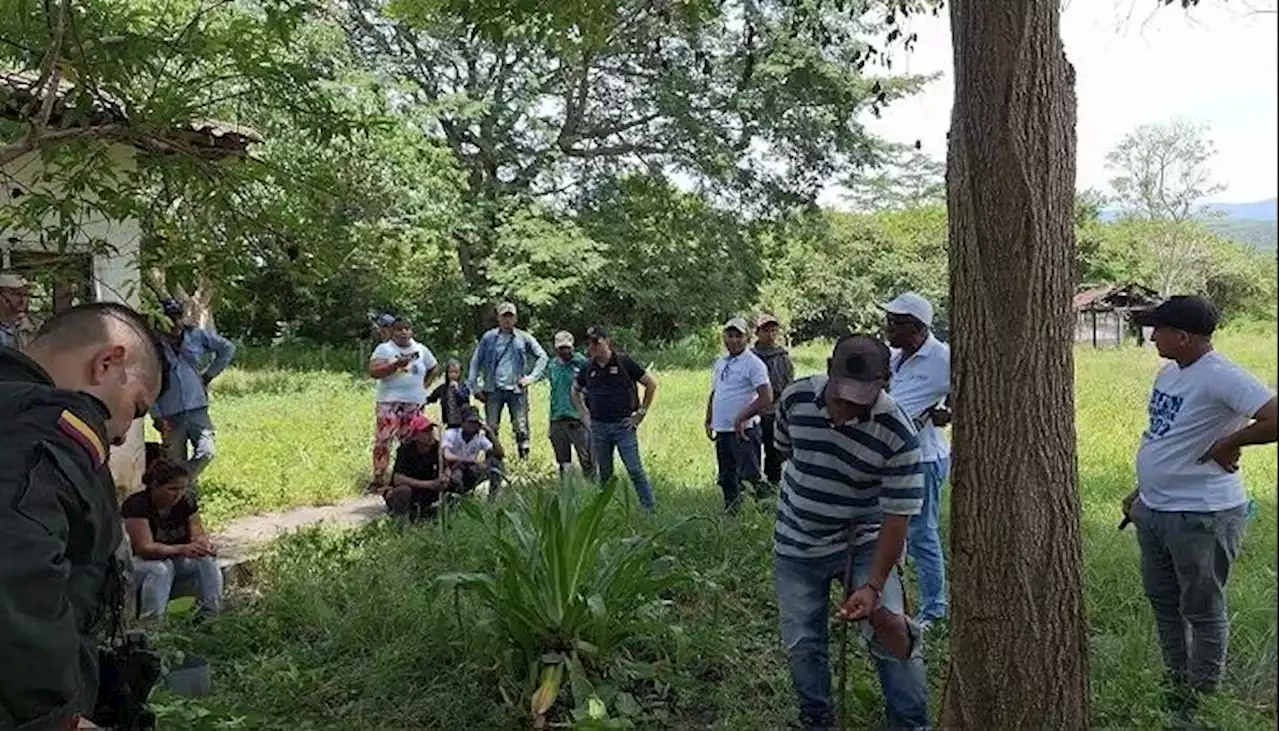 ‘Ganaderos Solidarios’ y autoridades desalojaron finca ocupada por invasores en Cesar