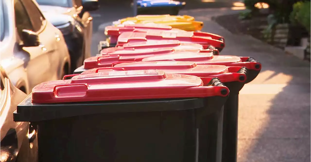 The Sydney council that will start collecting red bins fortnightly