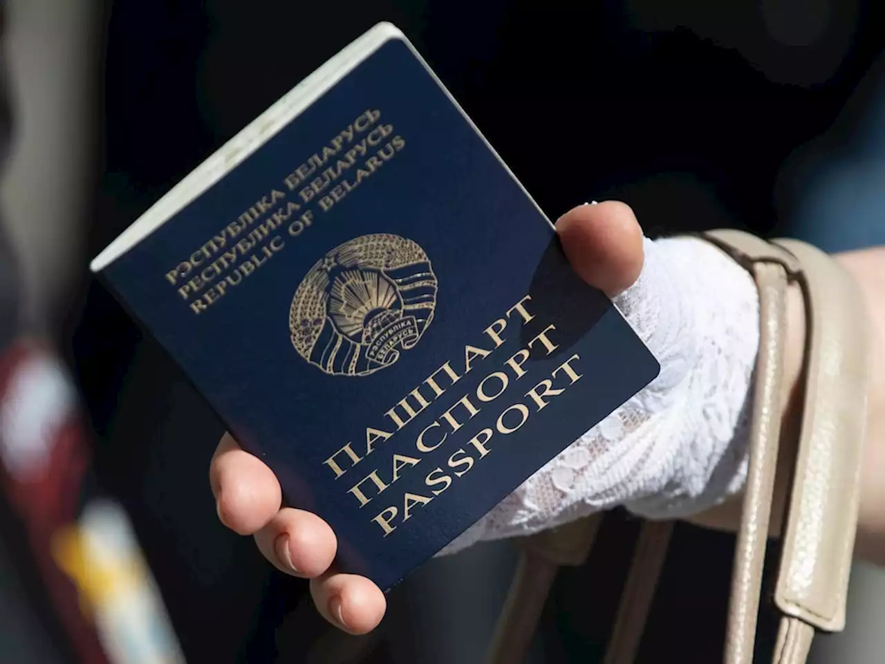 Lithuania to issue special passports to Belarus citizens staying legally