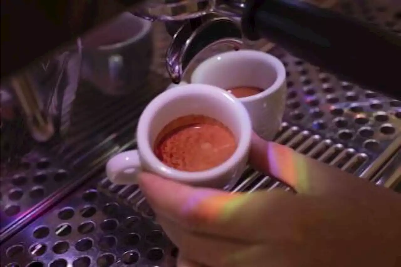 In Italia sorseggiate 95 milioni di tazzine di caffè al giorno - Business