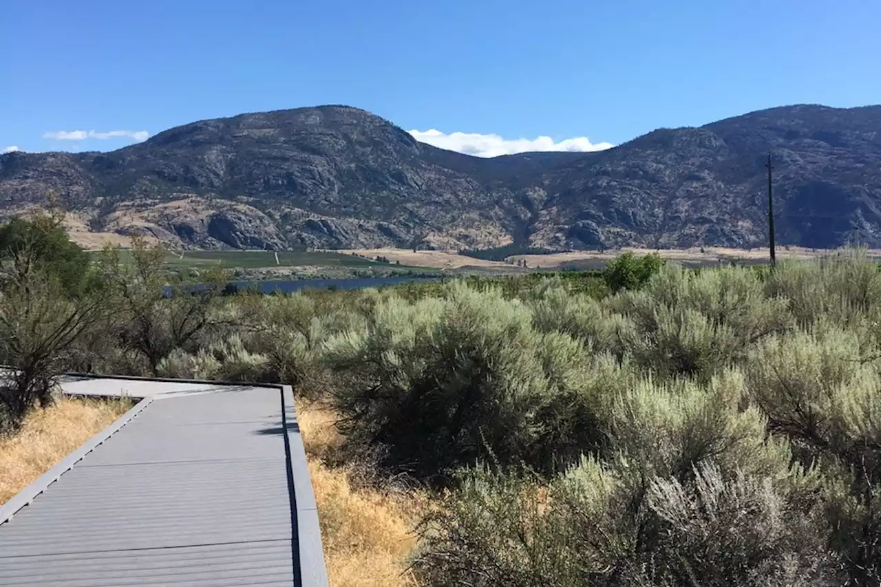 7 Lesser-Known Things to Do in the Okanagan