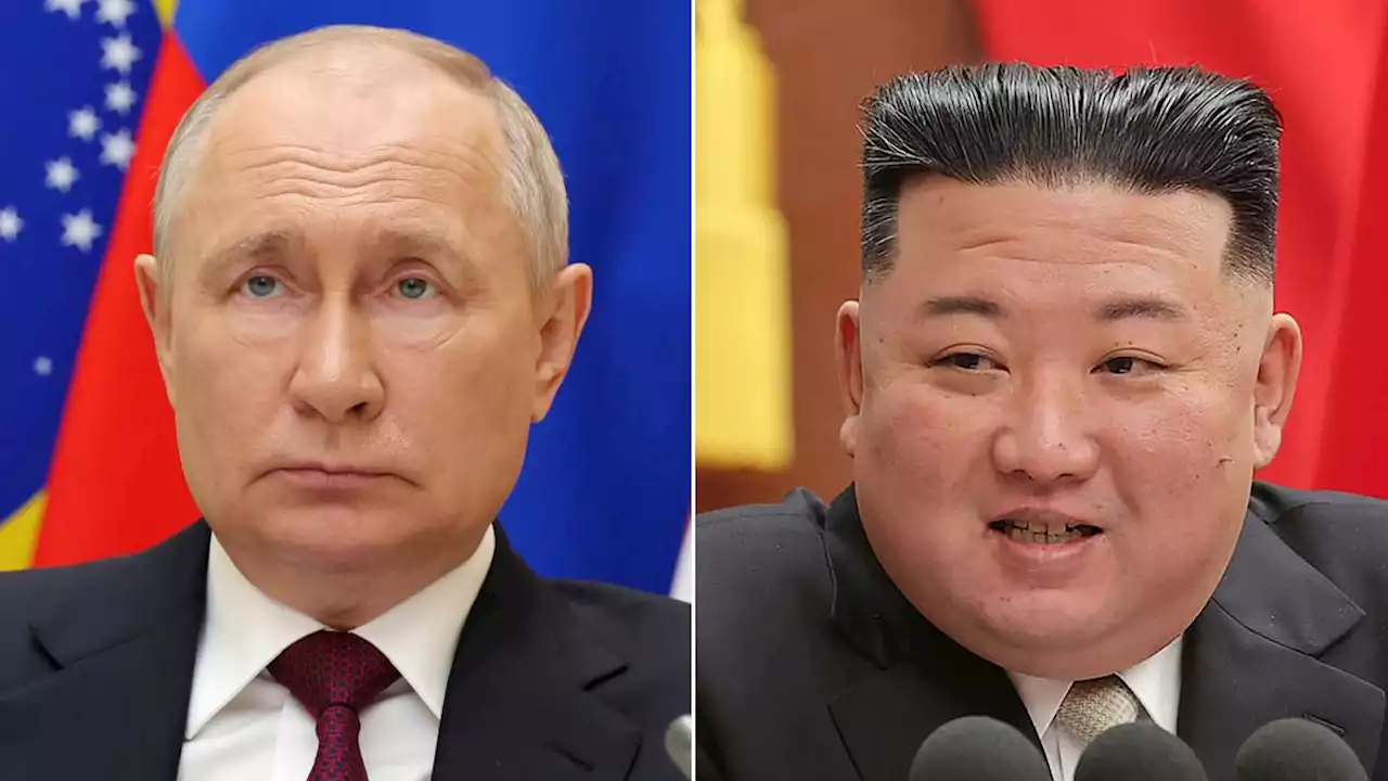 Kreml bestätigt geplantes Treffen von Putin und Kim Jong Un