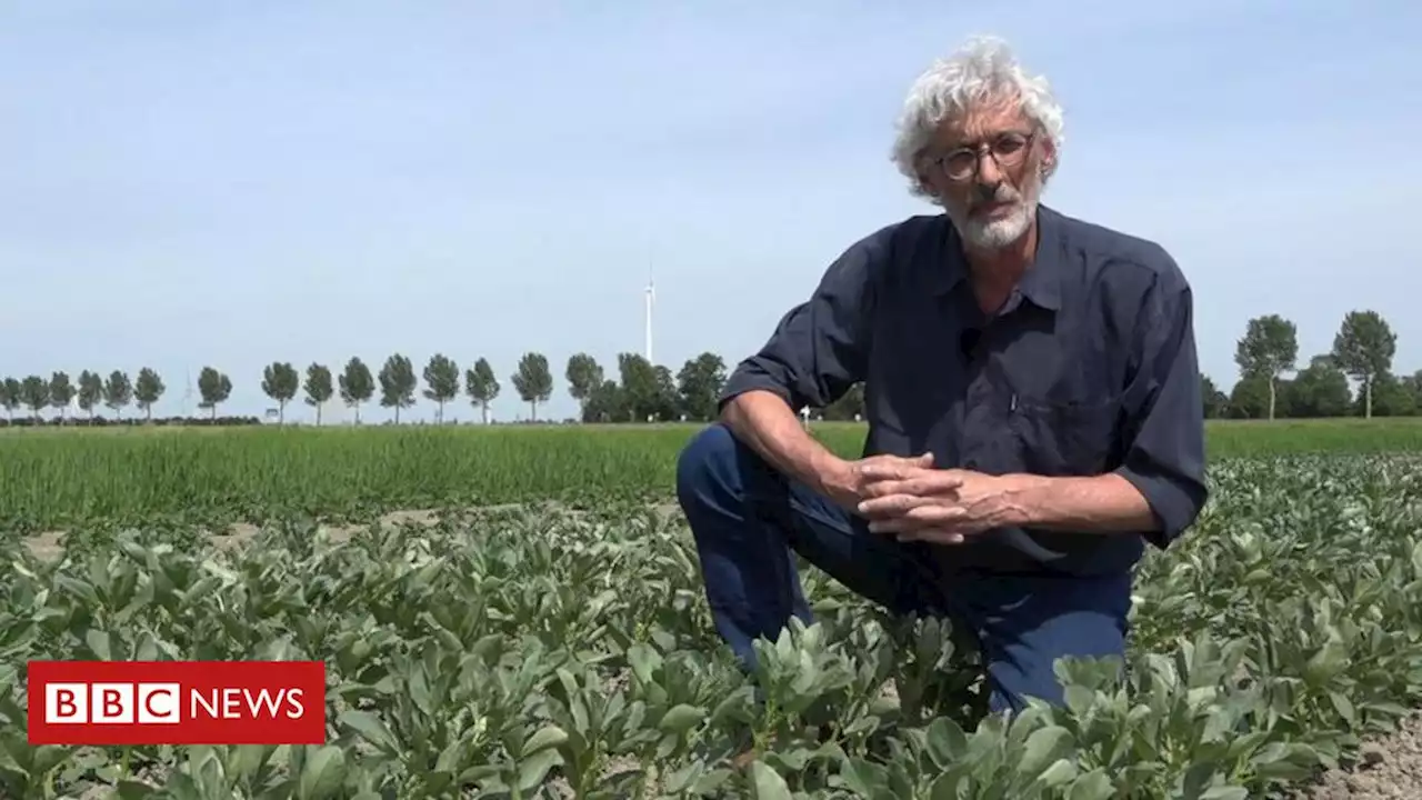 'Agro do futuro' tem lavouras resistentes a secas - e sem uso de combustíveis fósseis