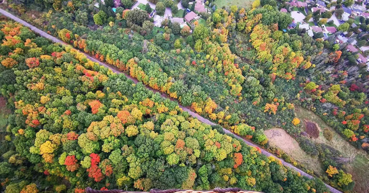 You can take a magical hot air balloon ride to see fall colours in Ontario