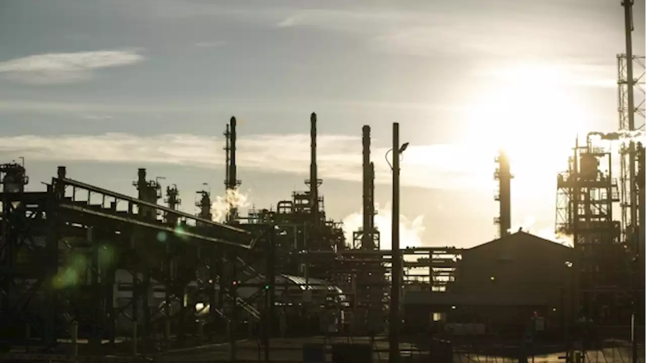 Oil holds at yearly highs as technical levels give traders pause