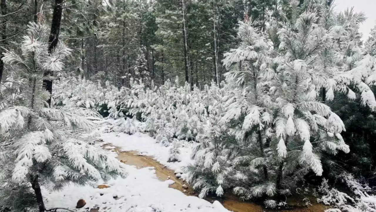 Snow falls over Western Cape after rollercoaster weather