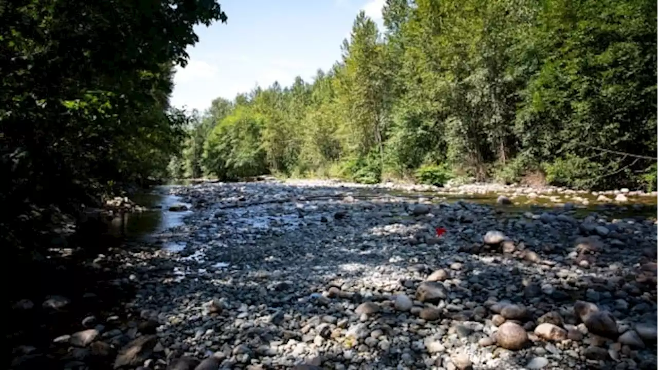 B.C. drought brings increased flood risks, far-reaching damage, experts warn