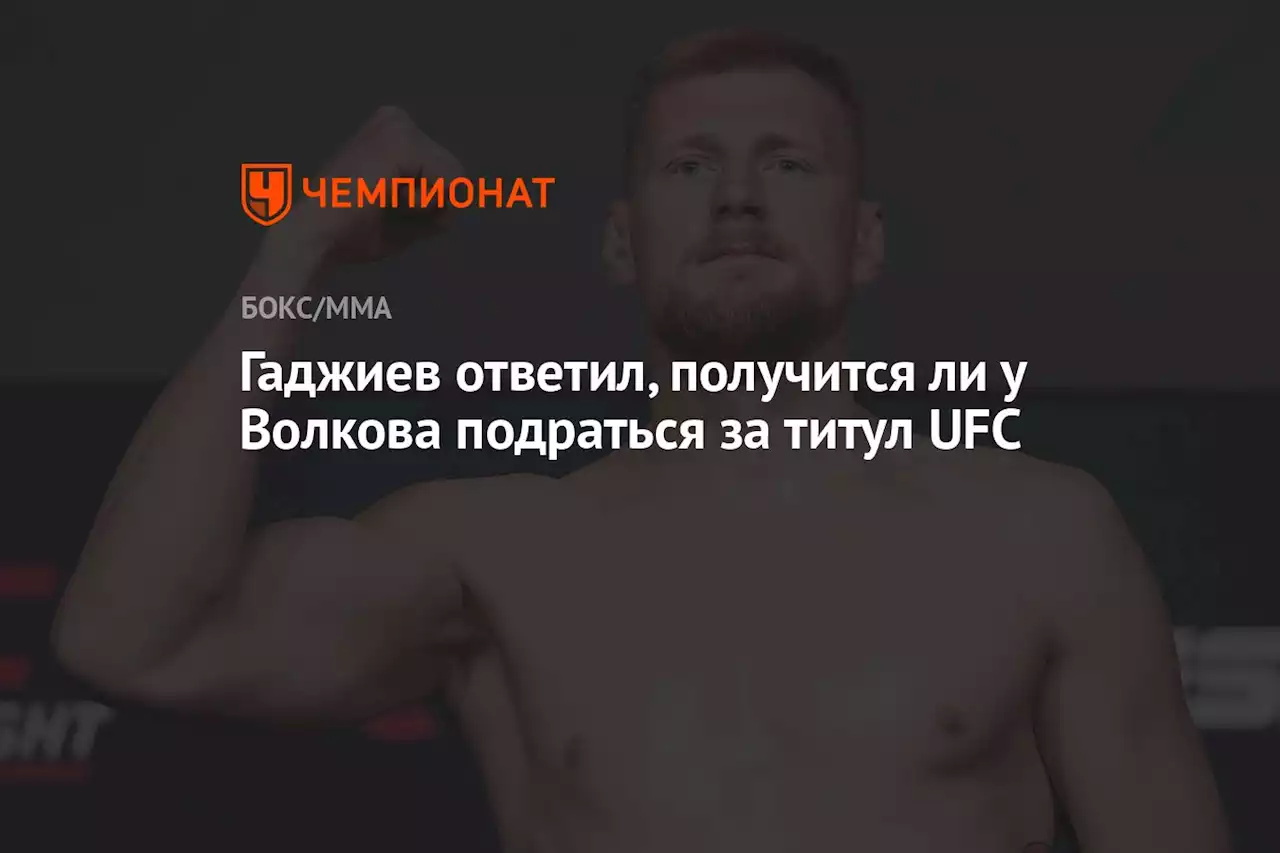 Гаджиев ответил, получится ли у Волкова подраться за титул UFC