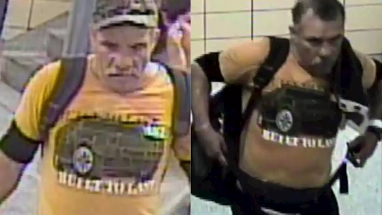 Man, 55, facing charges after allegedly punching 2 people in the face at TTC subway station