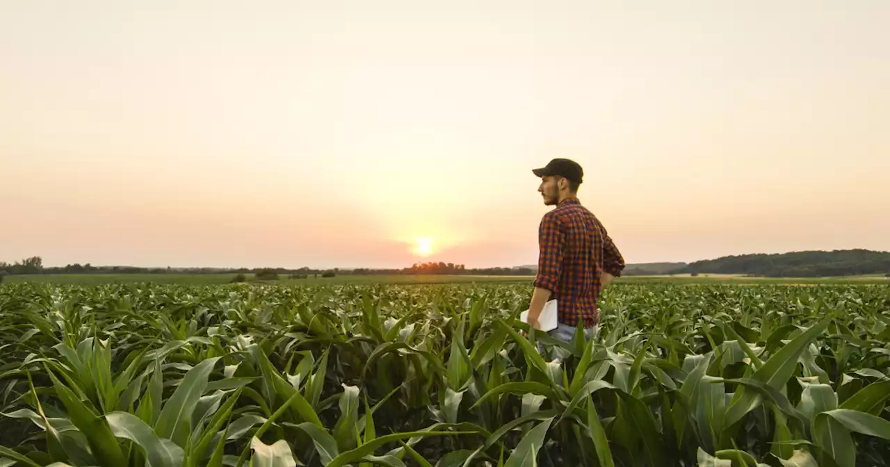 The 2023 farm bill: Supporting new frontiers of agriculture