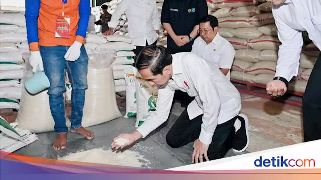 Momen Jokowi Berlutut Cek Beras di Gudang Bulog Bogor