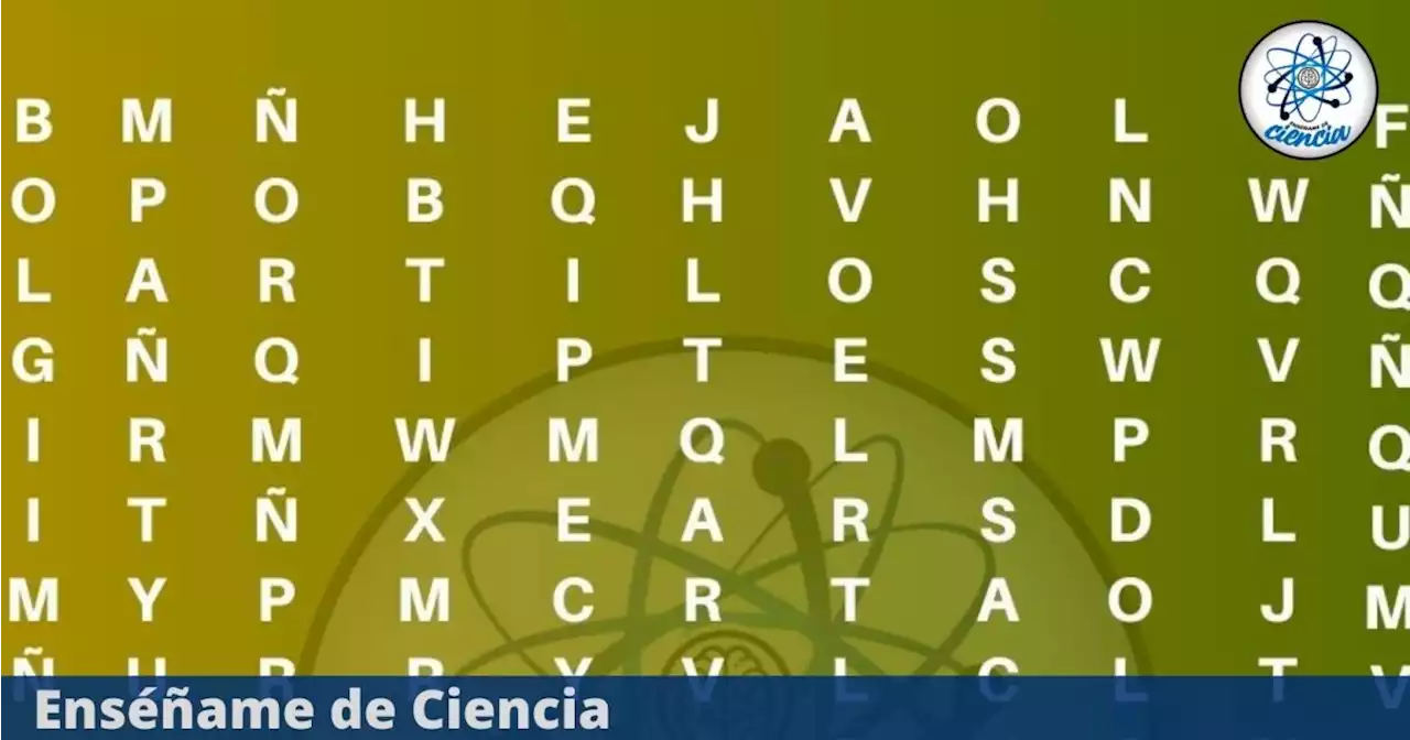 Acertijo visual: Tienes 5 segundos para encontrar la palabra “ÁGUILA” en la sopa de letras