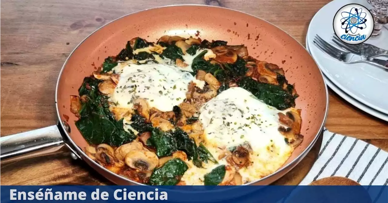 Aprende a cocinar un delicioso colchón de espinacas y hongos ¡aquí la receta completa!
