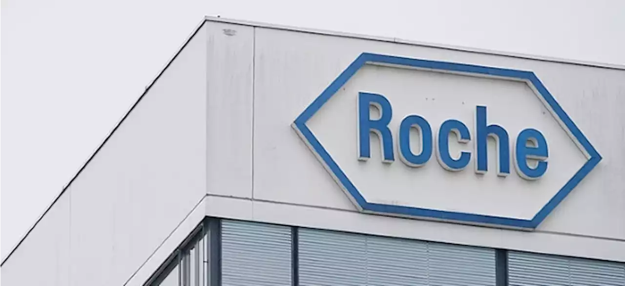 Roche-Aktie fester: Roche-Chef hält größere Zukäufe für möglich