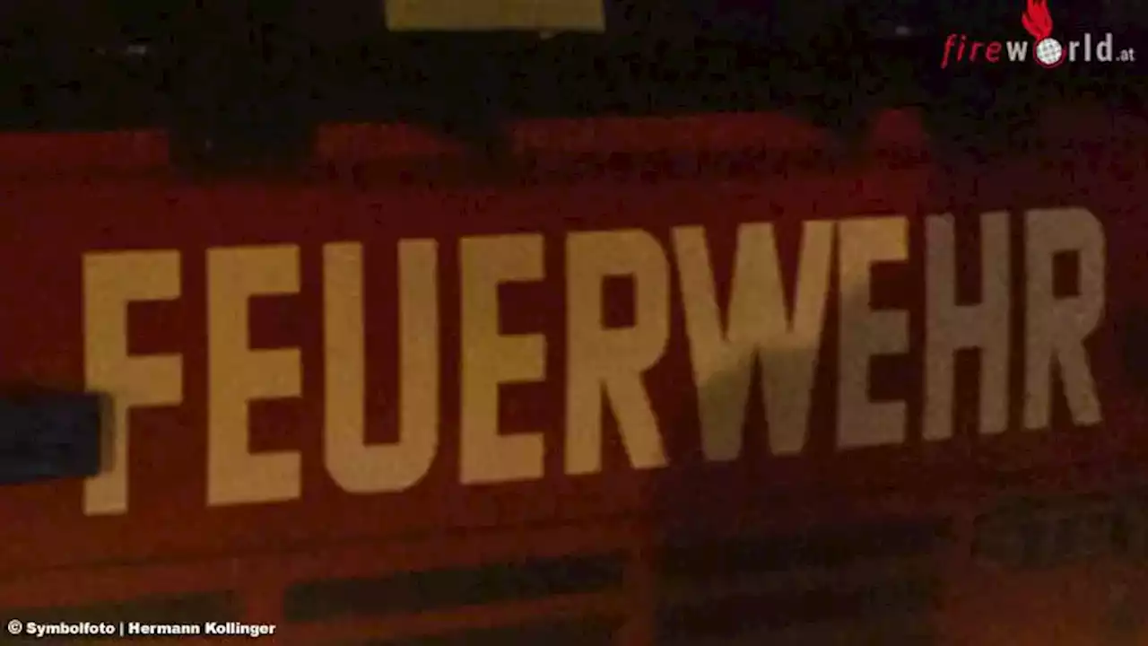 D: Zwei Hunde bei großer Hitze im Auto → Hilfe der Feuerwehr kommt zu spät