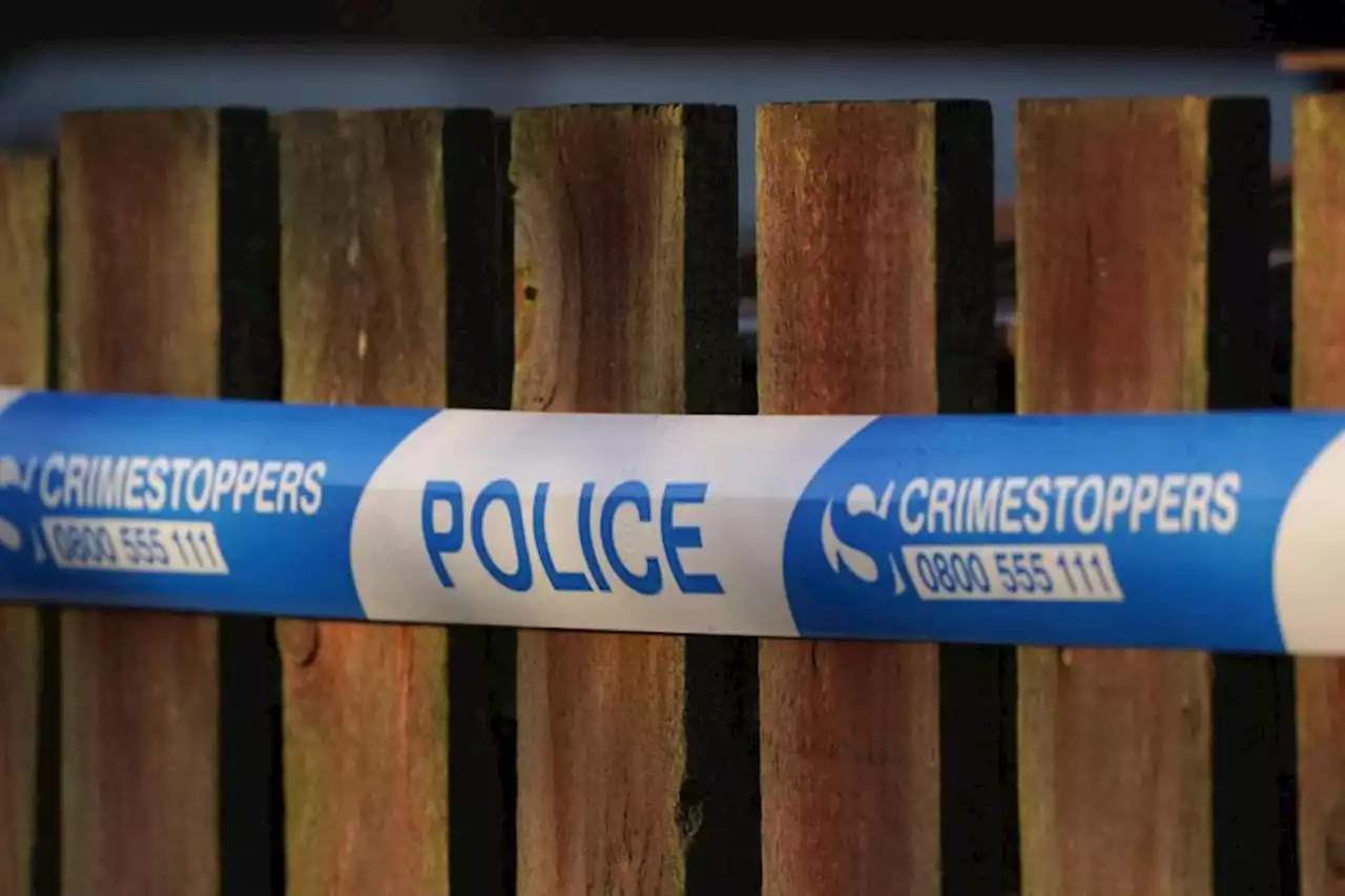 Woman arrested on suspicion of murder after girl, 2, found in village pond