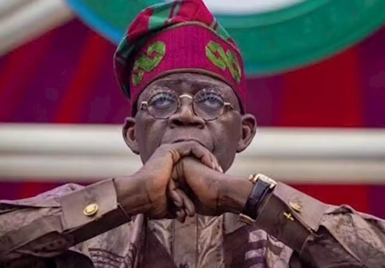 Tinubu urged to ensure inclusiveness of the PLWDs in governance | The Guardian Nigeria News