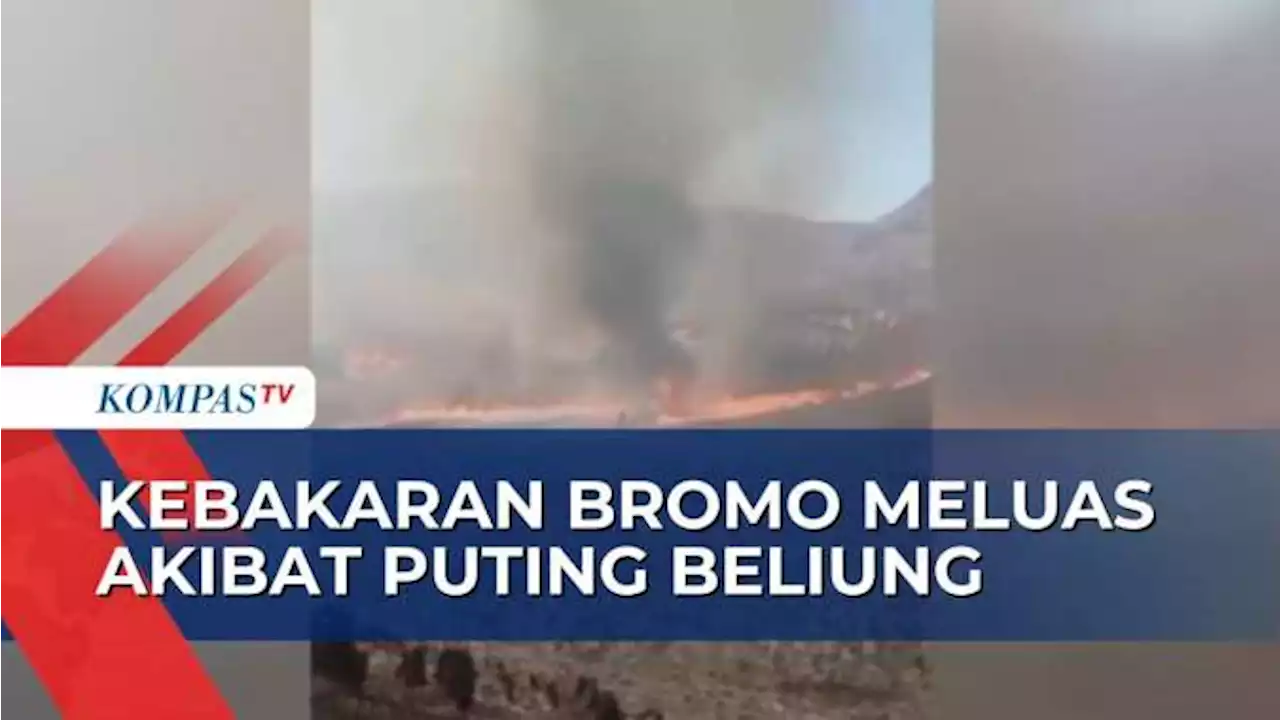 Api Sempat Terkendali, Kebakaran Bukit Teletubbies Bromo Kembali Meluas Akibat Puting Beliung