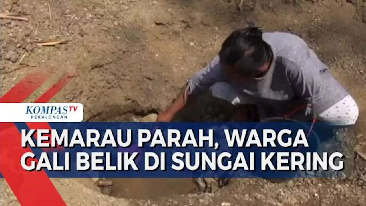 Warga Tegal Gali Belik di Sungai Kering, Krisis Air Bersih Akibat Kemarau