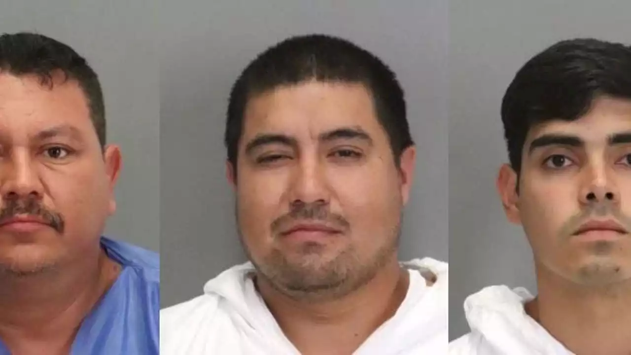 3 arrested in San Jose after shooting, police chase and discarded guns