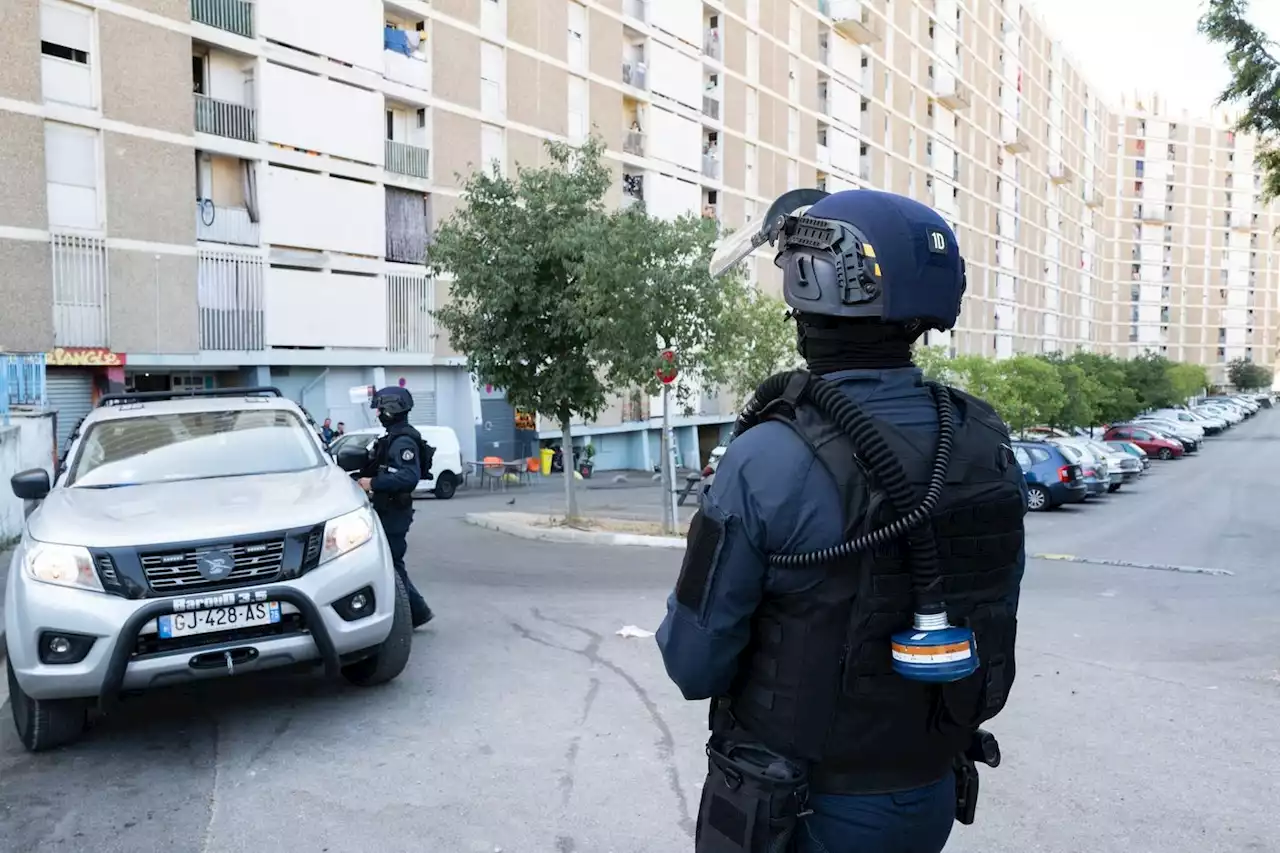 Drogue à Marseille : touchée par une balle perdue, une jeune femme en état de mort cérébrale